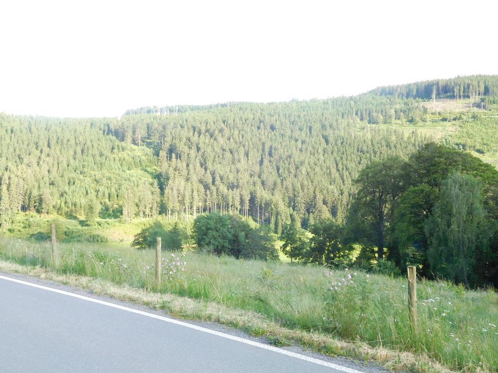 Apartment Schluchsee Kültér fotó