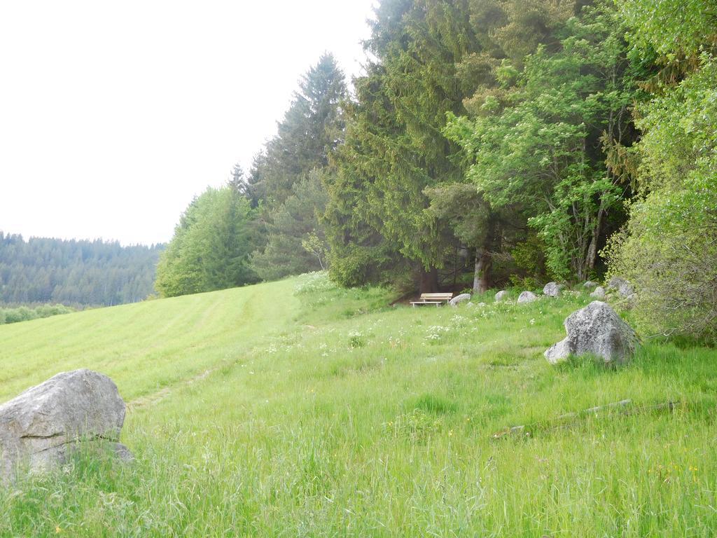 Apartment Schluchsee Kültér fotó
