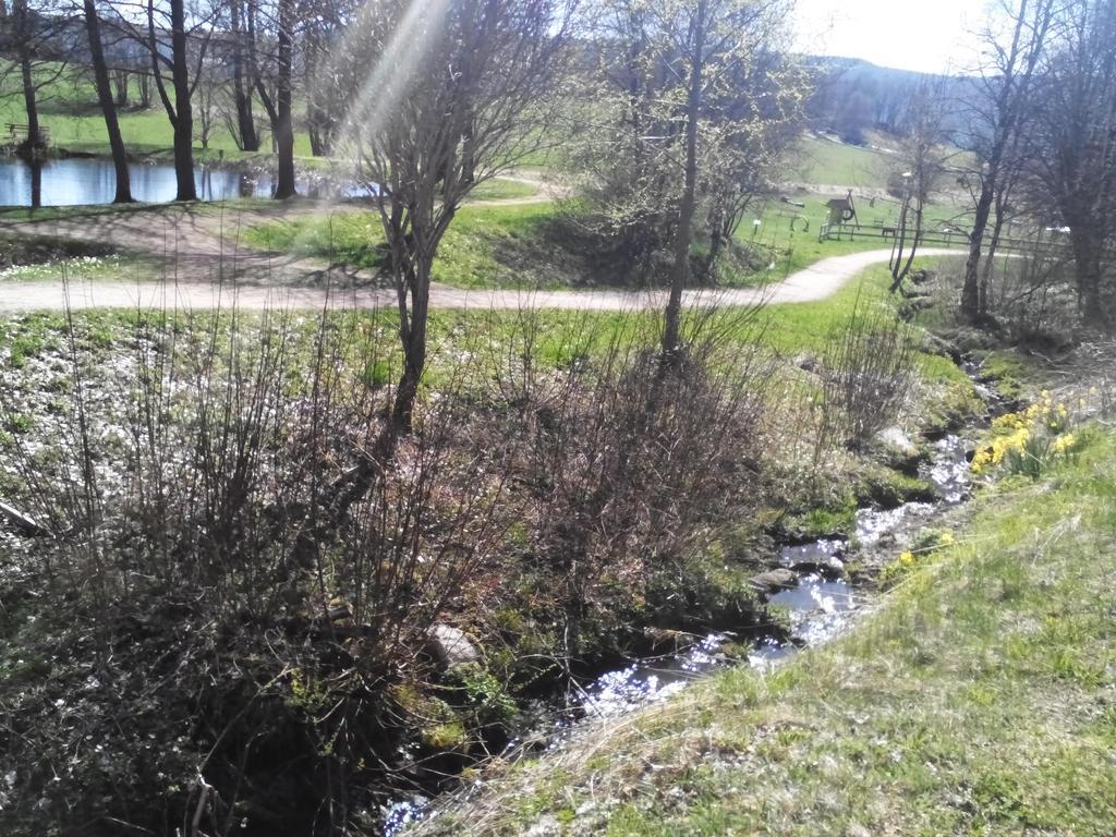 Apartment Schluchsee Kültér fotó
